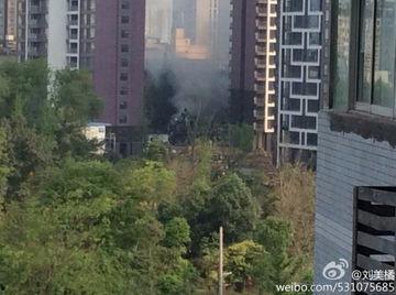 成都公园爆料视频最新消息,揭秘公园里的不为人知故事